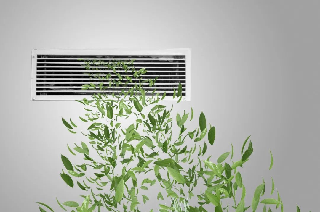 養寶生物 養寶生物